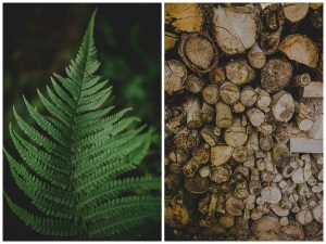 reportage photo elopement en alsace