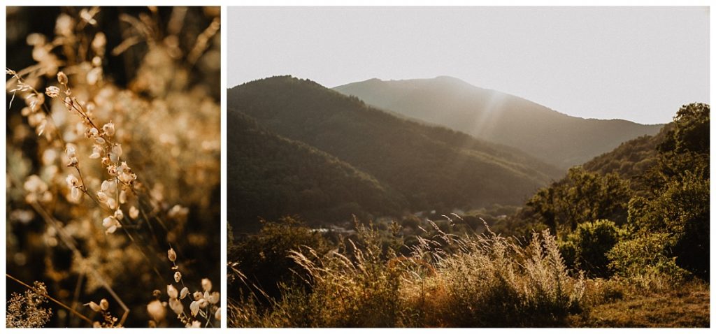 photographe grossesse naissance alsace
