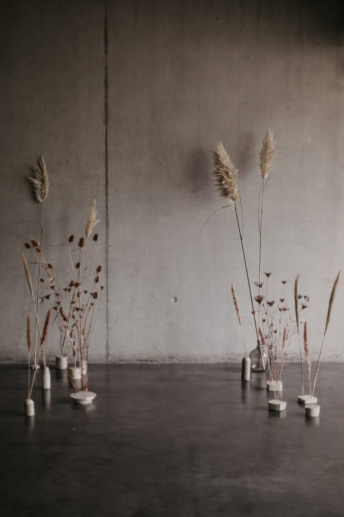 photo femme enceinte saint-louis